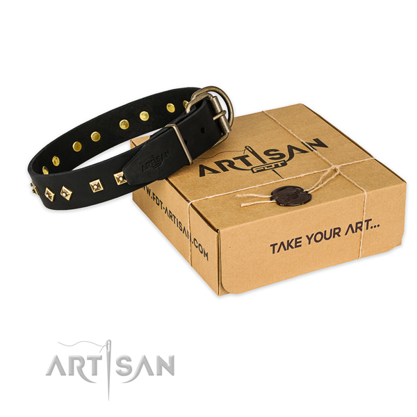 Durable traditional buckle on leather dog collar for everyday use