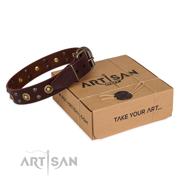 Durable fittings on genuine leather collar for your attractive canine