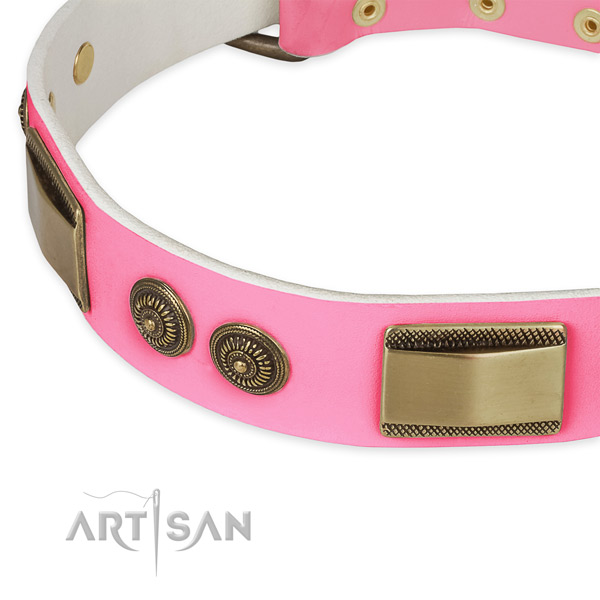 Leather dog collar with decorations for everyday use