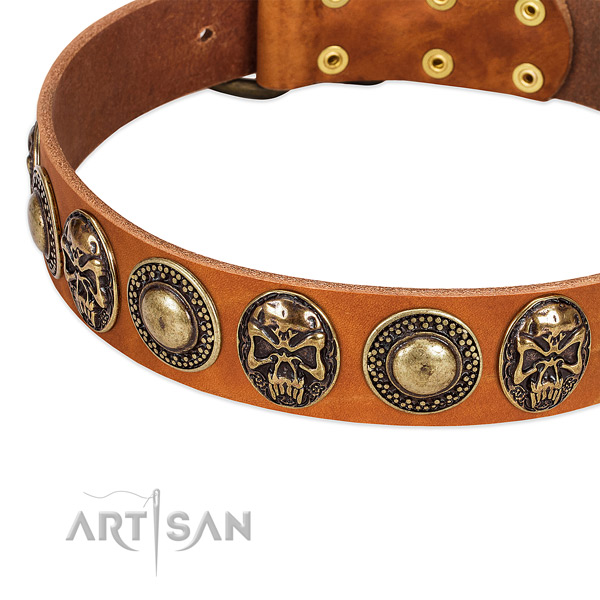 Corrosion resistant buckle on genuine leather dog collar for your dog