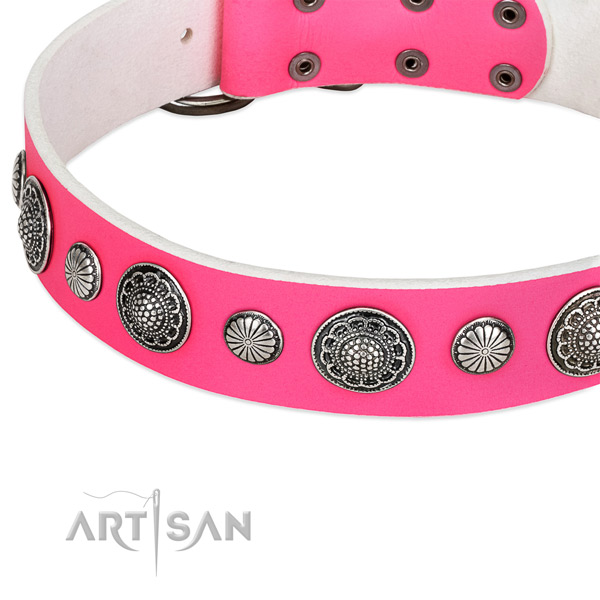 Natural leather collar with strong buckle for your impressive canine