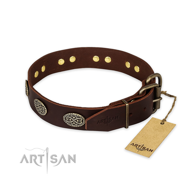 Corrosion proof fittings on leather collar for your attractive four-legged friend