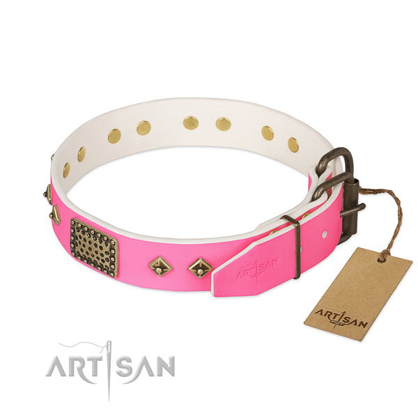 Corrosion proof buckle on walking dog collar