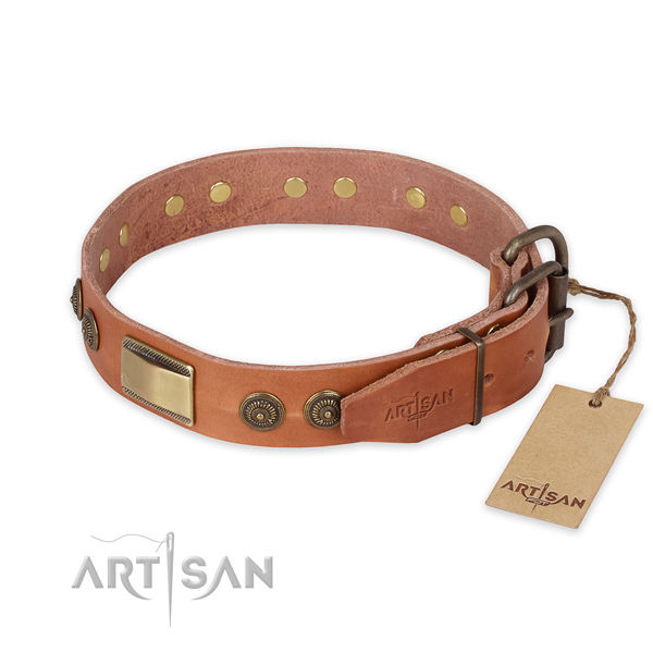 Corrosion resistant hardware on full grain natural leather collar for walking your four-legged friend