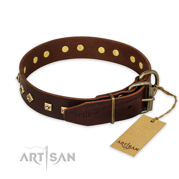 Corrosion proof fittings on full grain natural leather collar for stylish walking your dog