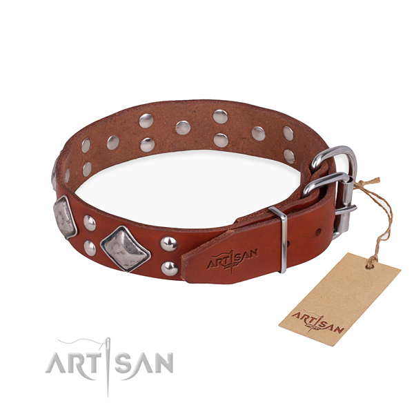 Full grain leather dog collar with exceptional corrosion resistant embellishments