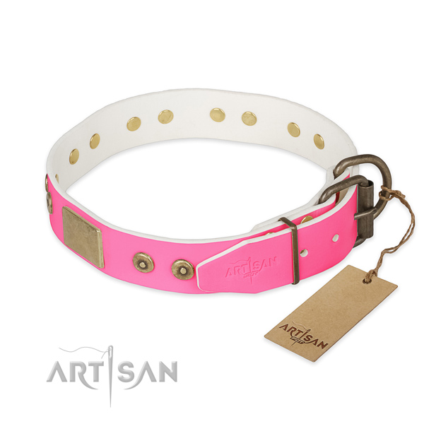 Reliable studs on everyday use dog collar