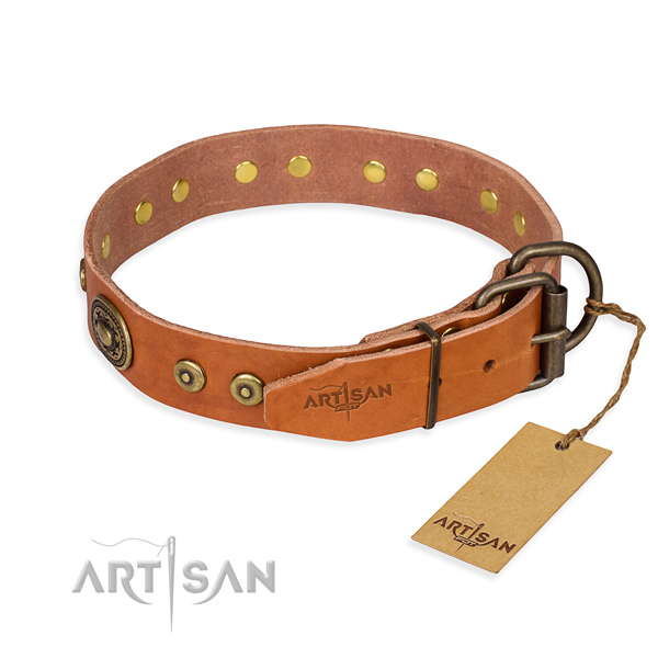 Full grain natural leather dog collar made of flexible material with rust resistant decorations