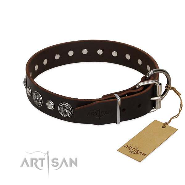 Finest quality full grain natural leather dog collar with amazing studs
