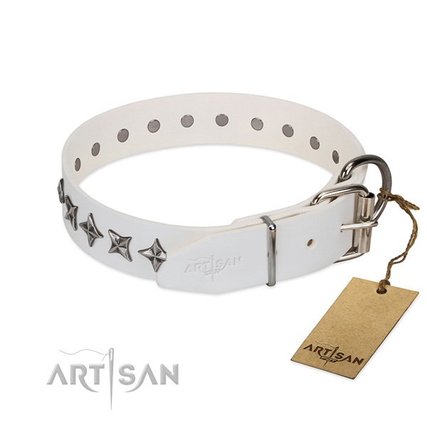 Comfy wearing adorned dog collar of strong natural leather