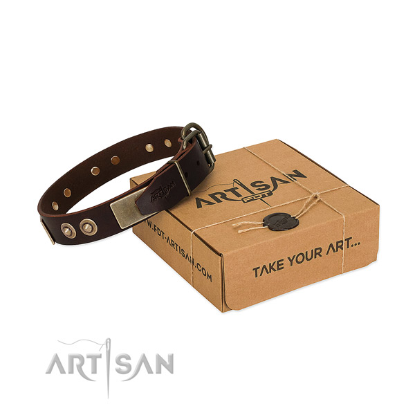 Strong hardware on dog collar for walking