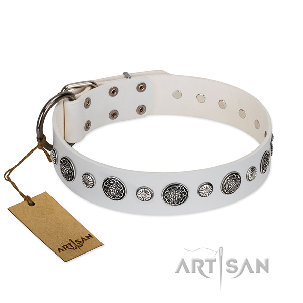 Top notch leather dog collar with corrosion proof D-ring