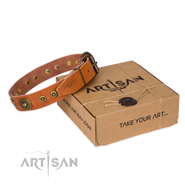 Leather dog collar made of soft to touch material with strong buckle