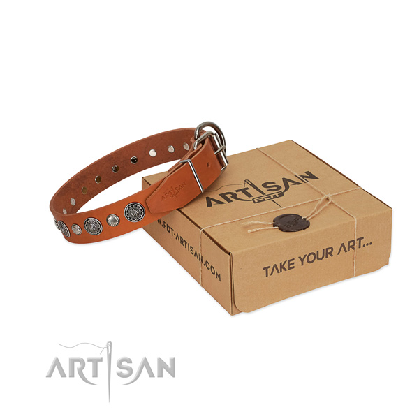 Genuine leather collar with corrosion proof fittings for your stylish four-legged friend