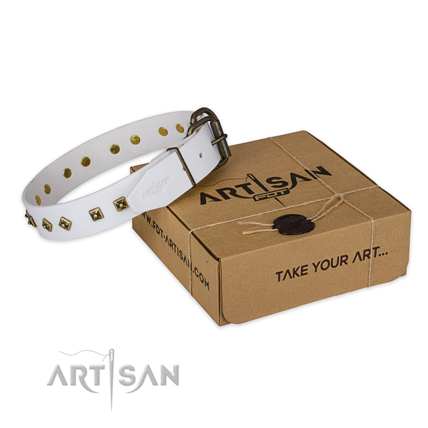 Strong D-ring on genuine leather dog collar for comfortable wearing