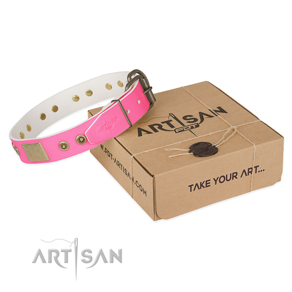 Rust-proof D-ring on dog collar for everyday walking