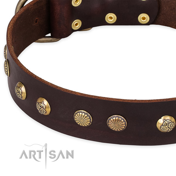 Genuine leather collar with reliable buckle for your impressive four-legged friend