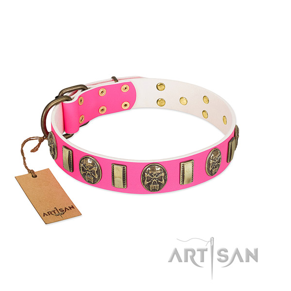 Rust resistant studs on full grain natural leather dog collar for your pet