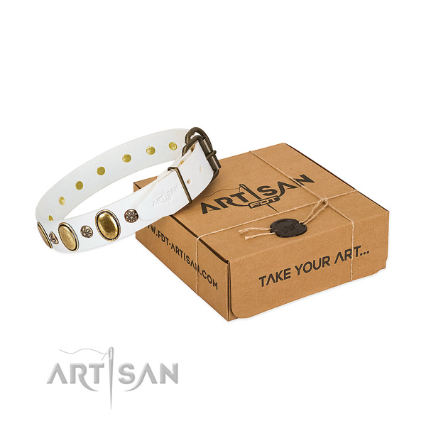 Everyday use top notch full grain genuine leather dog collar with studs