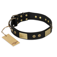 "Spanish night" FDT Artisan Fashionable Leather Walking English Bull Terrier Collar