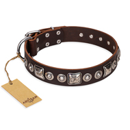"Pierian spring" FDT Artisan Brown Leather English Bull Terrier Collar with Silvery Decorations