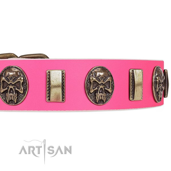 Durable decorations on leather dog collar for your canine