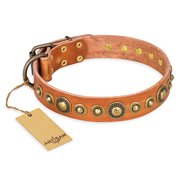 "Feast of Luxury" FDT Artisan Tan Leather English Bull Terrier Collar with Old Bronze Look Circles