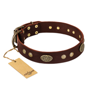 "Old-fashioned Glamor" FDT Artisan Brown Leather English Bull Terrier Collar with Old Bronze Look Plates and Circles