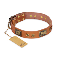 "Cosmic Traveller" FDT Artisan Adorned Leather English Bull Terrier Collar with Old Bronze-Plated Stars and Plates