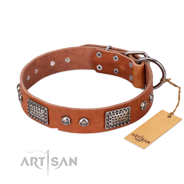 Easy to adjust genuine leather dog collar for everyday walking your pet