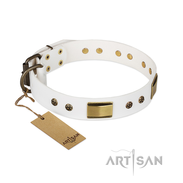 Unusual full grain natural leather collar for your dog