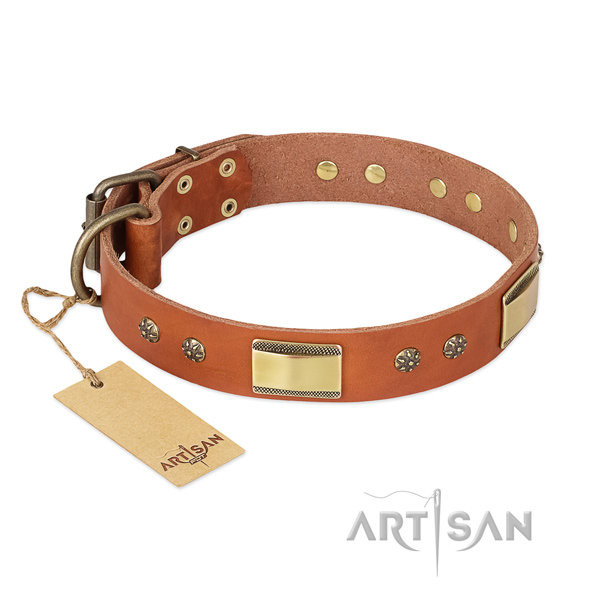 Unusual natural genuine leather collar for your canine