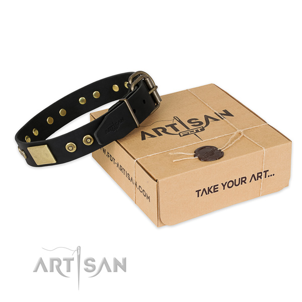 Rust resistant traditional buckle on full grain leather dog collar for handy use