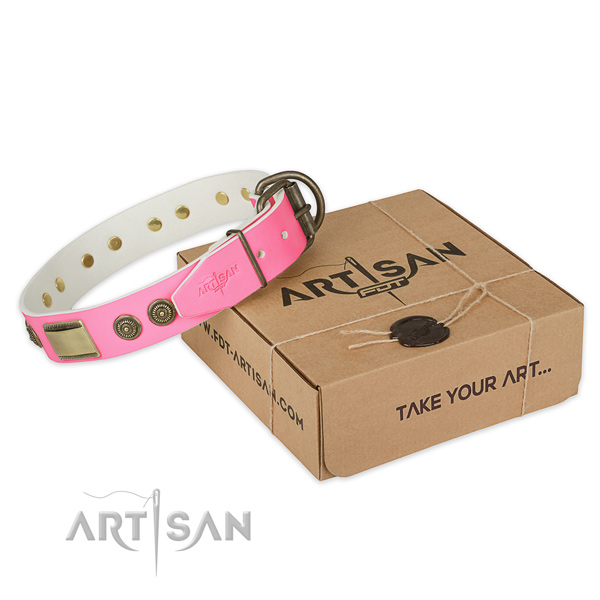 Durable fittings on dog collar for basic training
