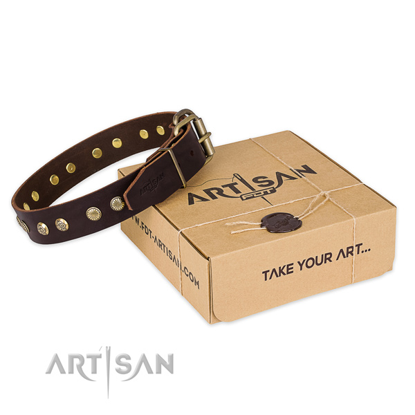 Corrosion proof traditional buckle on natural genuine leather collar for your beautiful four-legged friend