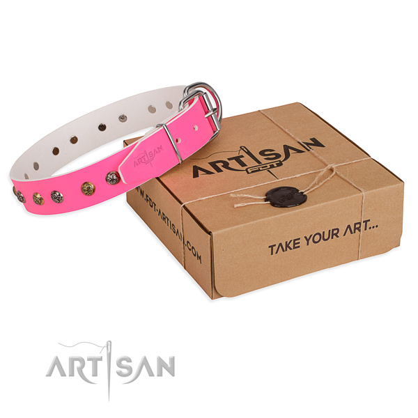 Daily use dog collar with Inimitable durable embellishments