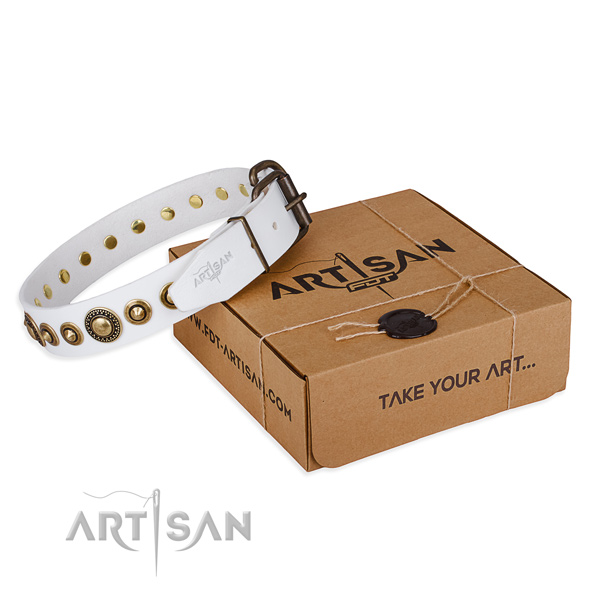 Flexible leather dog collar handmade for stylish walking