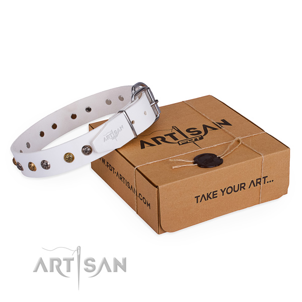 Stylish walking dog collar with Unusual corrosion resistant decorations