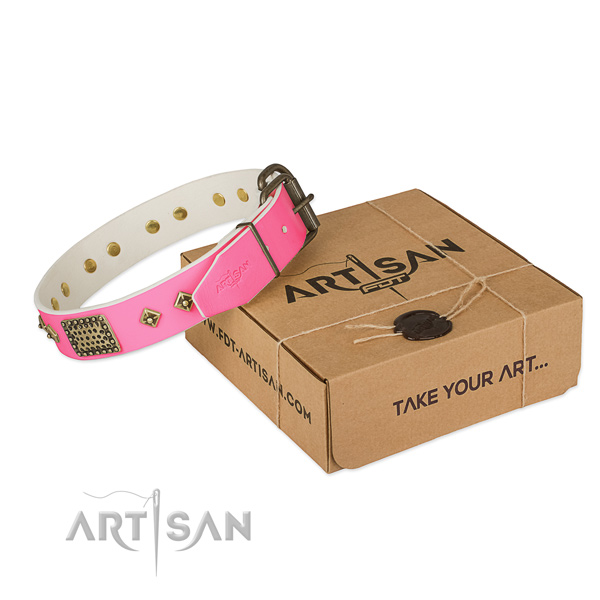 Corrosion resistant decorations on dog collar for walking