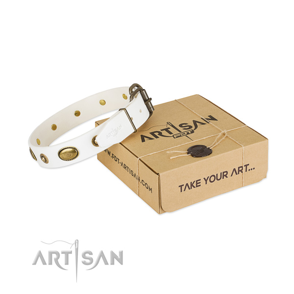 Adorned natural leather collar for your lovely dog