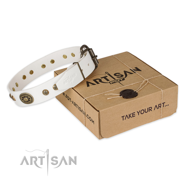 Rust-proof hardware on natural genuine leather dog collar for daily use