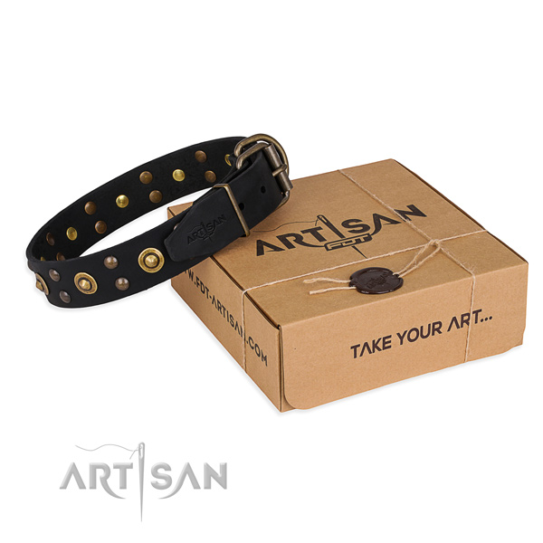 Rust resistant traditional buckle on genuine leather collar for your impressive pet