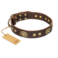 "One-of-a-Kind" FDT Artisan Handmade Decorated Brown Leather English Bull Terrier Collar