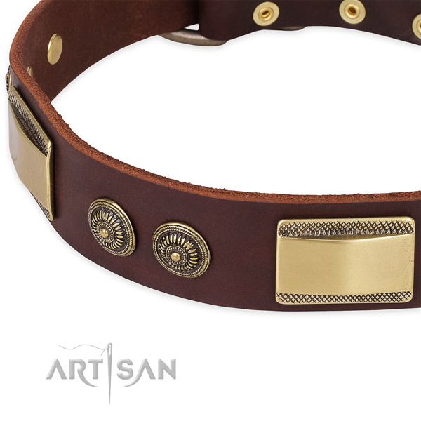 Rust resistant studs on full grain genuine leather dog collar for your dog