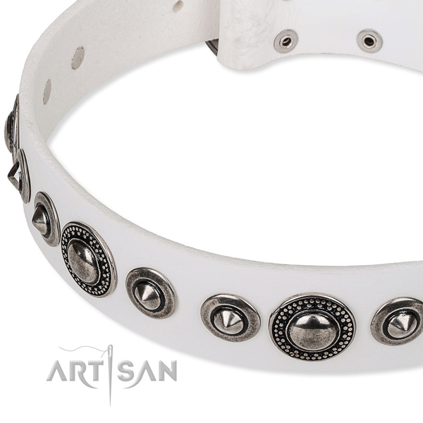 Comfy wearing adorned dog collar of top quality full grain natural leather