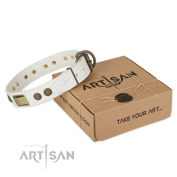 Corrosion resistant traditional buckle on leather dog collar for daily use