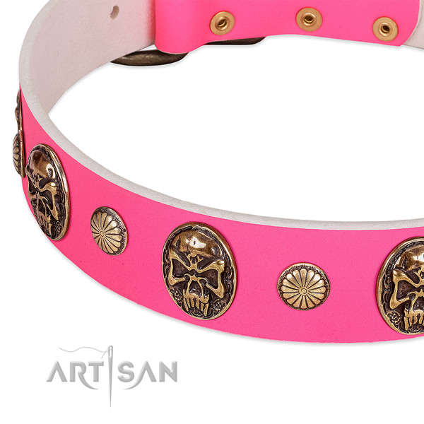 Reliable hardware on leather dog collar for your dog