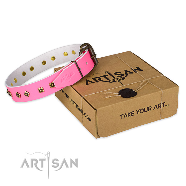 Corrosion resistant buckle on natural leather dog collar for everyday walking