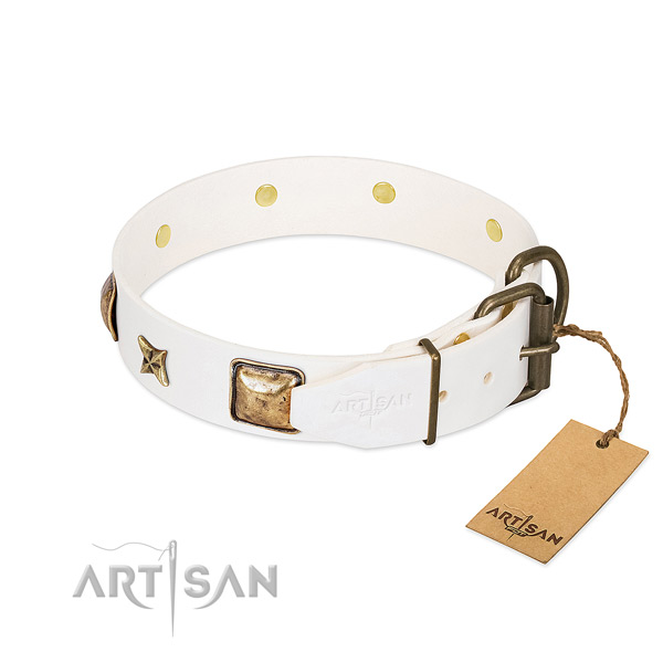 Genuine leather dog collar with durable D-ring and adornments