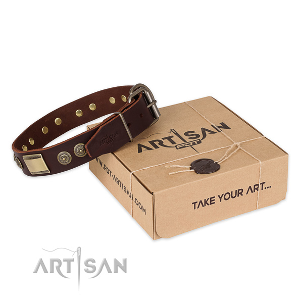 Reliable buckle on full grain genuine leather dog collar for everyday walking